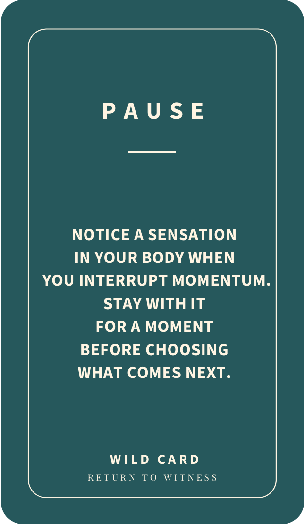 Pause. Wild Card. Notice a sensation in your body when you interrupt momentum. Stay with it for a moment before choosing what comes next.