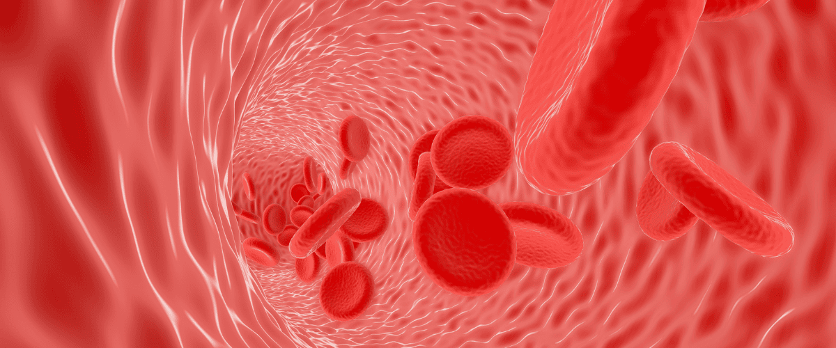 Healthy Blood Flow: Enhancing Circulation Naturally